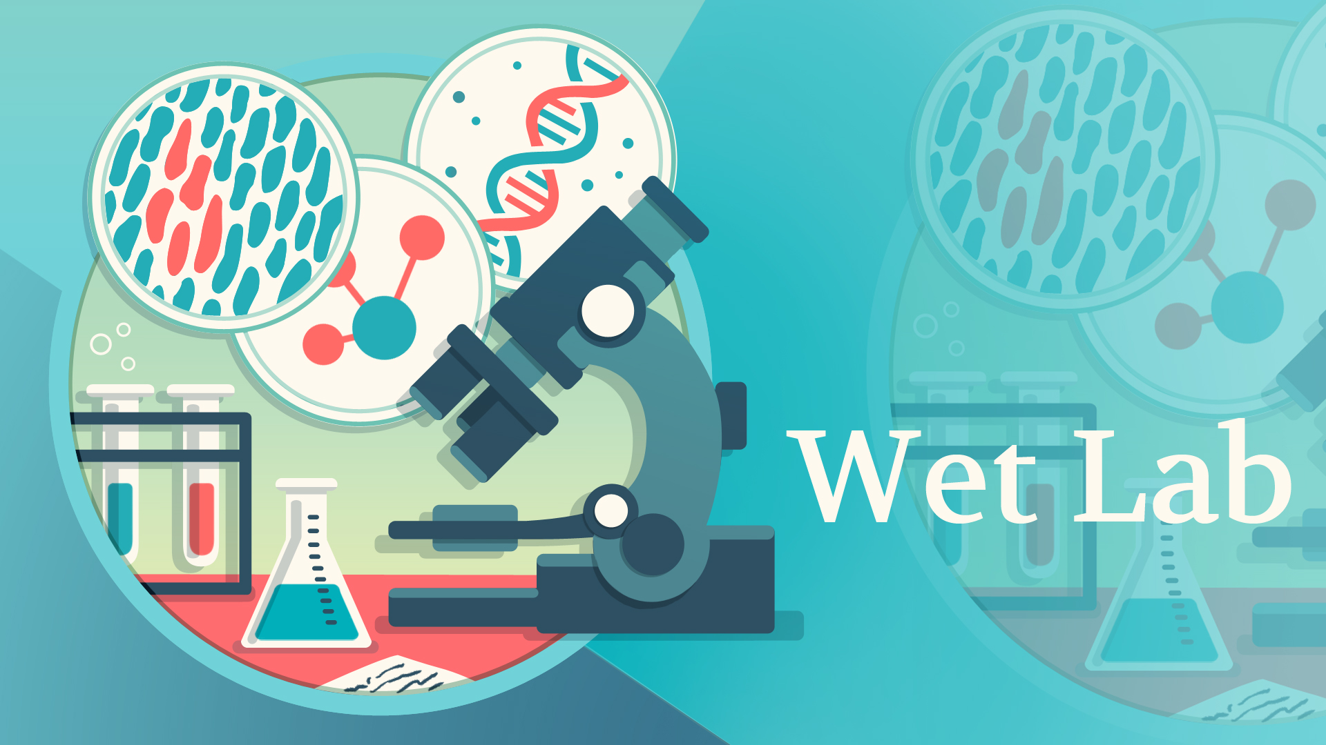 Wet Lab Experiments
